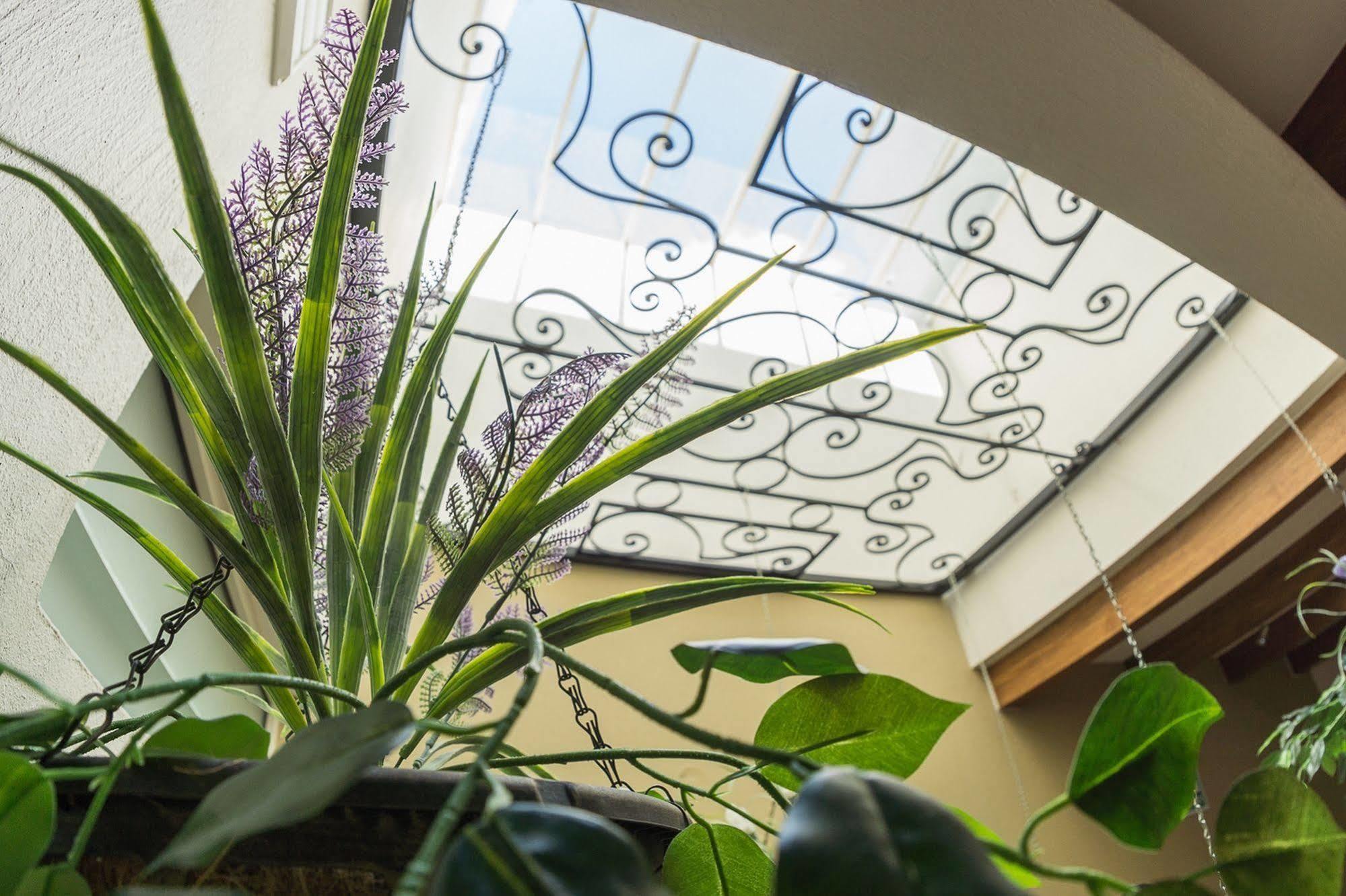 San Pietro Boutique Hotel Tlaquepaque المظهر الخارجي الصورة